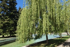 IMG_20250507_112659277_HDR