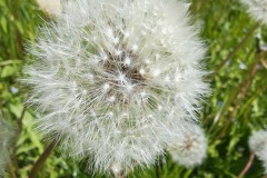 IMG_20250507_113556423_HDR