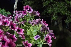 IMG_20250512_212506704