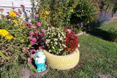 IMG_20241022_145028