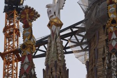IMG_20260227_184927