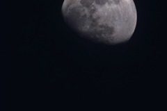 IMG_20260227_194535