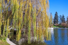 IMG_20211202_121002