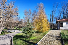 IMG_20211202_121112