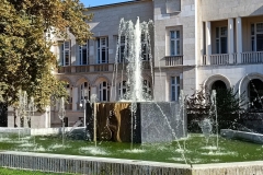 IMG_20211028_115505