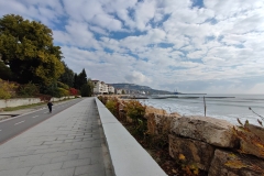 IMG_20211030_115601