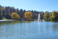 IMG_20211104_111854