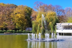 IMG_20211104_111958