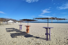 IMG_20221119_121455