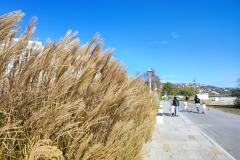 IMG_20221119_122427