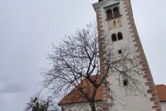 IMG_20260330_121356822