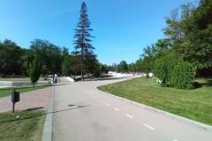 IMG_20200609_164955