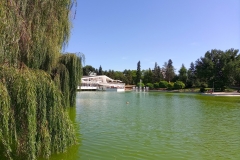 IMG_20210217_063012