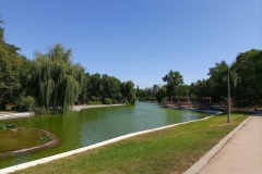 IMG_20210217_063630