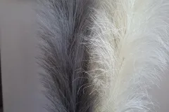 20260424_112054