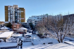 IMG_20231127_092559
