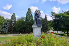 IMG20250709174330