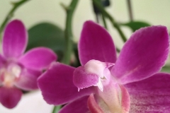 IMG_20210910_175717268_HDR