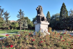 IMG_20210914_180738459_HDR