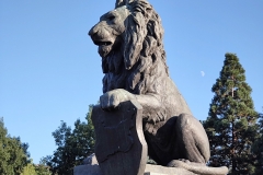 IMG_20210914_180748280
