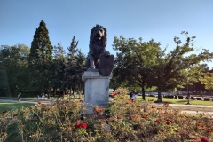 IMG_20210914_180828980_HDR