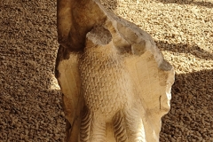IMG_20210916_125809081