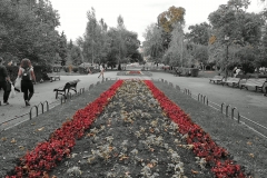 IMG_20210917_174726044