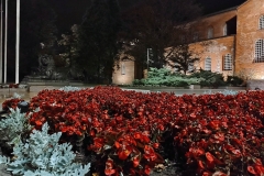 IMG_20210917_220440800