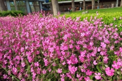 IMG_20230514_173916493