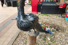 IMG_20240425_133814472_HDR