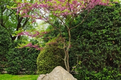 IMG_20240425_134319194_HDR