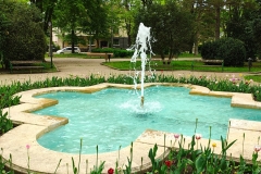 IMG_20240425_134402165_HDR