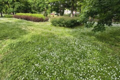 IMG_20250522_175755505_HDR