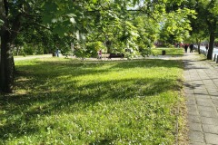 IMG_20250522_175825531_HDR