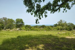 IMG_20250525_114822114_HDR