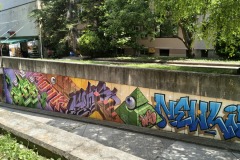 IMG_20250611_113035356_HDR