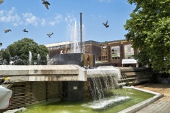 IMG_20250611_113309327_HDR
