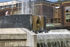 IMG_20250611_113312230_HDR