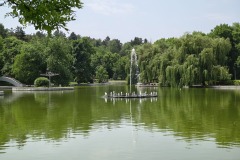 IMG_20250611_114730798_HDR