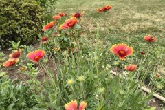 IMG_20250710_171631569_HDR