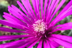 IMG_20250710_171659271_HDR