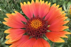 IMG_20250710_171737752_HDR