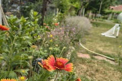 IMG_20250710_171744659_HDR