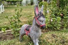 IMG_20250710_171757350_HDR