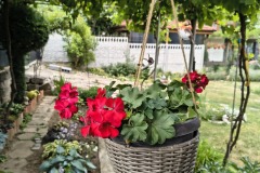 IMG_20250710_172002796_HDR