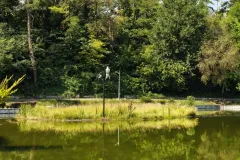 IMG_20260717_100512658_HDR