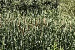 IMG_20260717_100617184_HDR