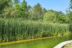 IMG_20260717_100619791_HDR