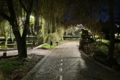 IMG_20251112_175733943