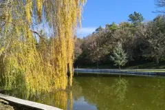 IMG_20251113_120416542_HDR